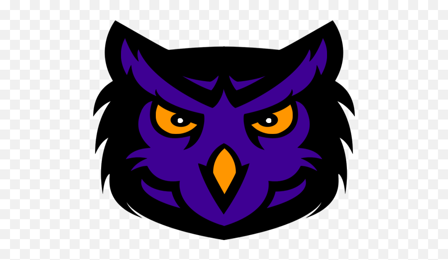 Owl Sports Logo - Logodix Owl Sports Logo Transparent Emoji,Owl Logo