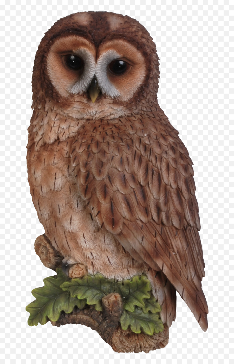 Tawny Owl - Png Brown Tawny Owl Emoji,Owl Transparent Background