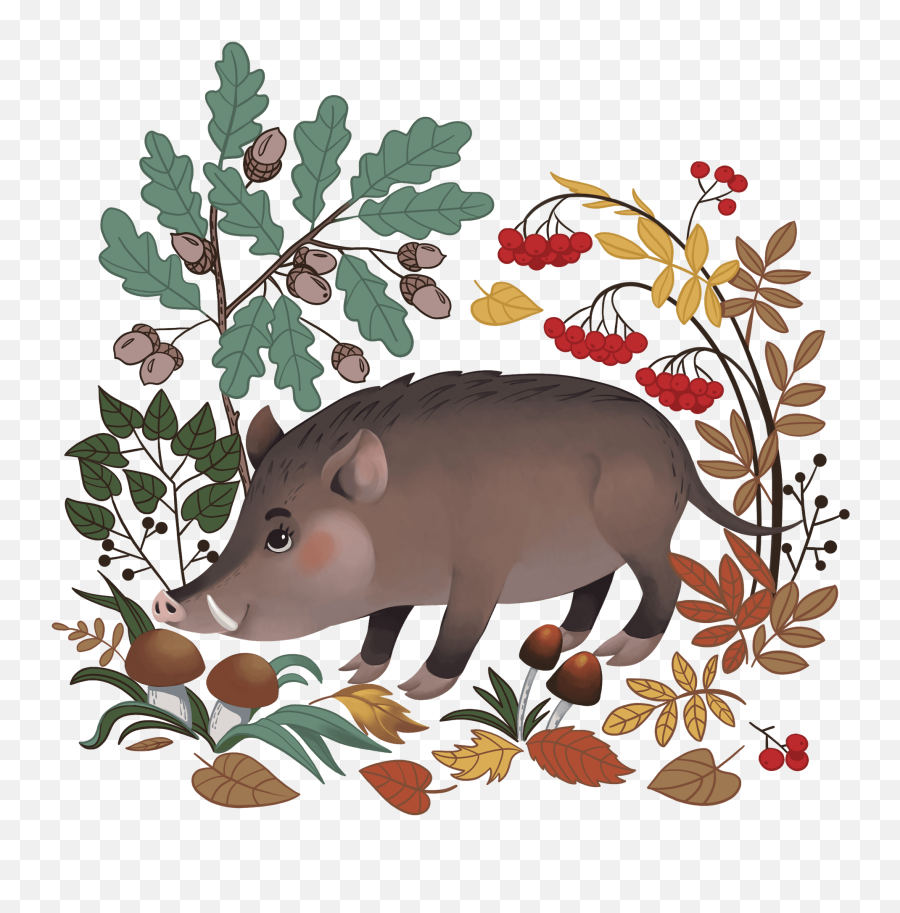 Boar In The Forest Clipart Free Download Transparent Png - Dibujo Jabali En Bosque Emoji,Forest Clipart