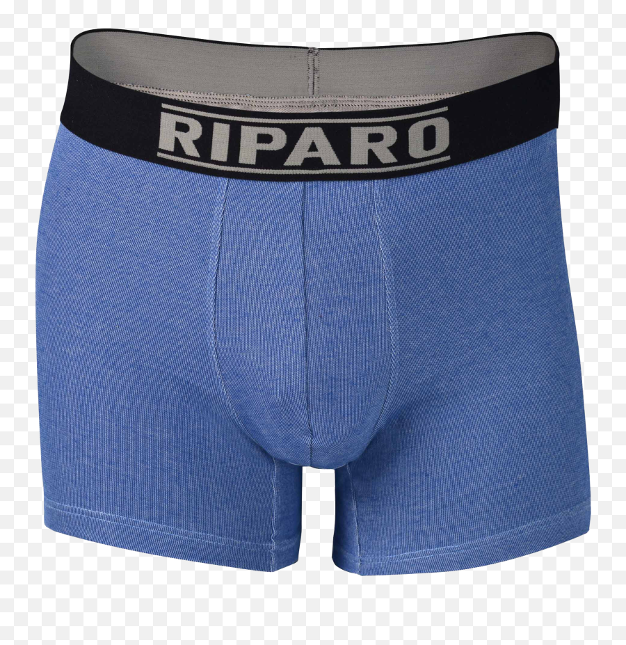 Download Riparo Silver Shield Underwear Emoji,Underwear Png