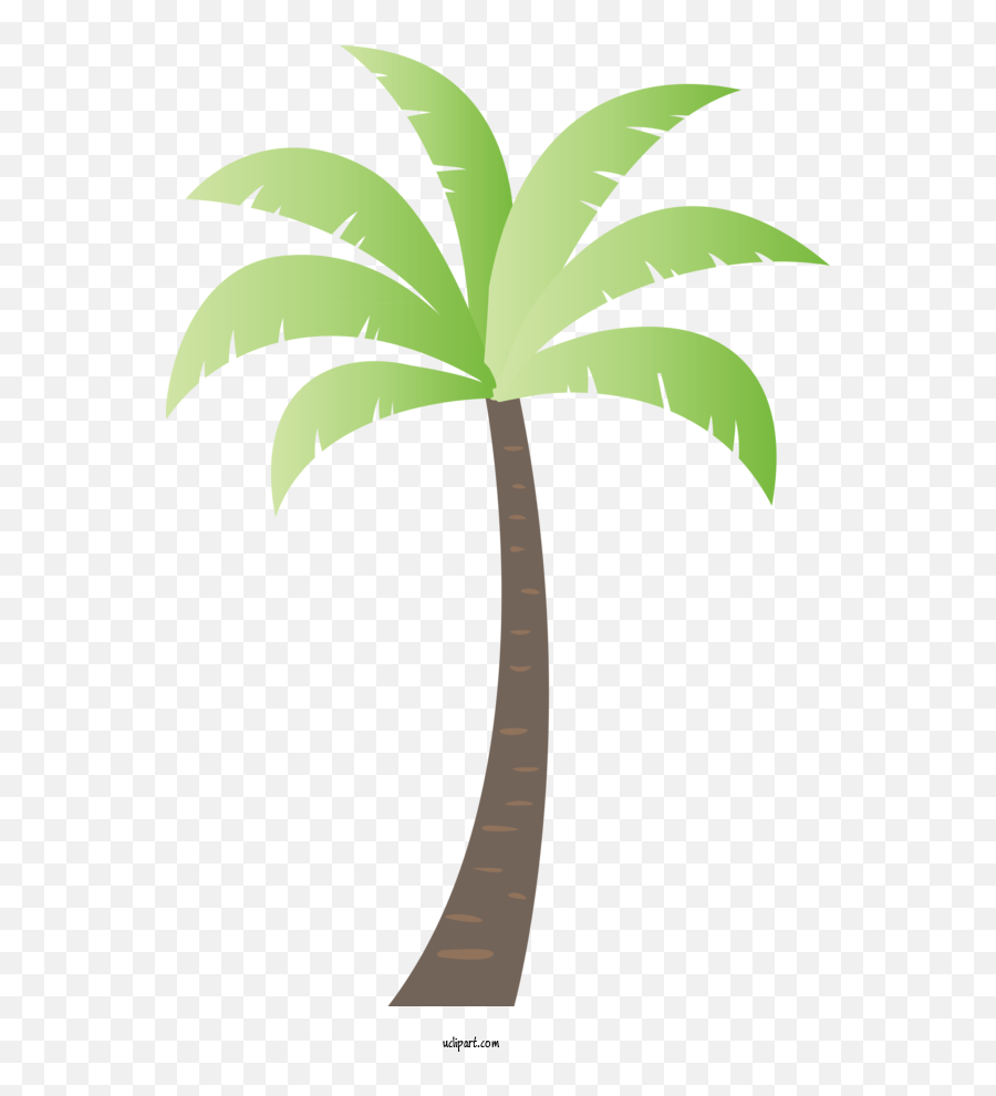 Nature Coconut Plant Stem Leaf For Tree - Tree Clipart Emoji,Coconuts Clipart