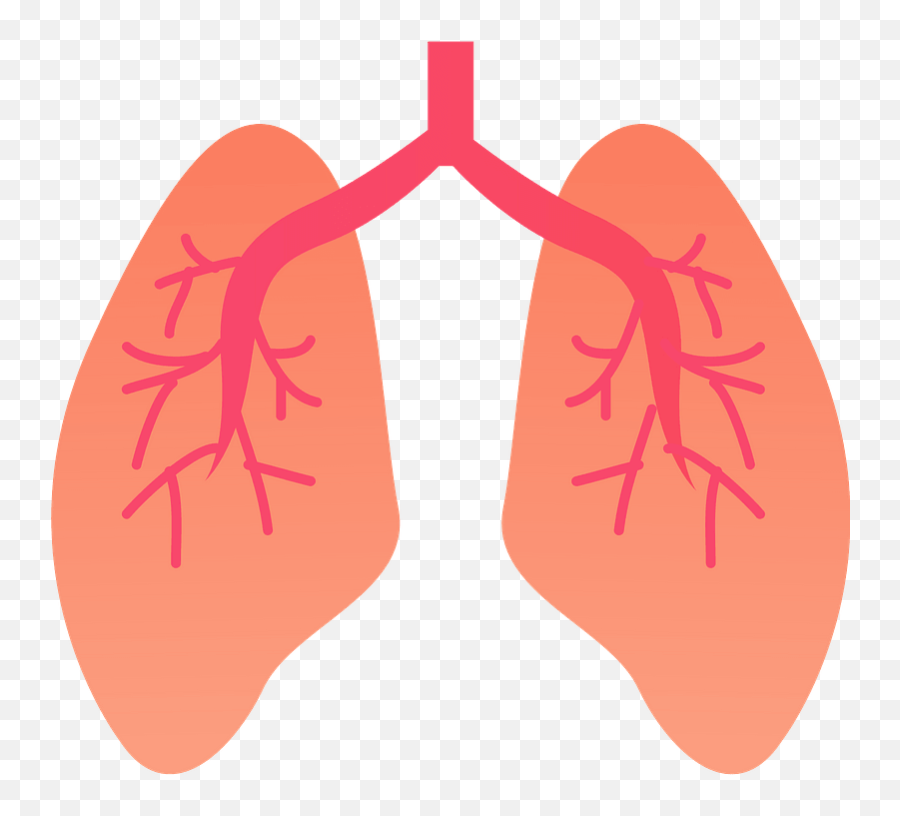 Lung Organ Clipart - Lungs Organ Clipart Emoji,Lungs Clipart