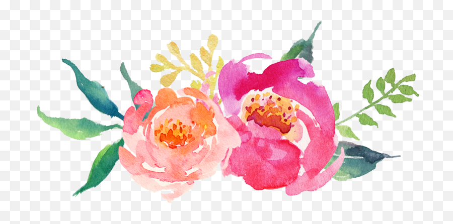 Pink Flower - Flor Watercolor Png Hd Png Download Transparent Watercolor Peonies Png Emoji,Pink Watercolor Png