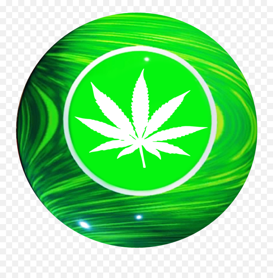Download Pot Leaf Transparent Png Png - Legalize Marijuana Florida Emoji,Pot Leaf Transparent