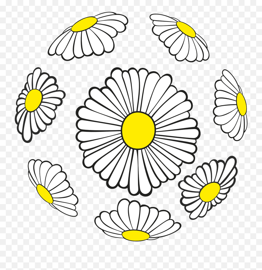 Daisies Sphere Spring Flowers Png Picpng Emoji,Spring Flower Png