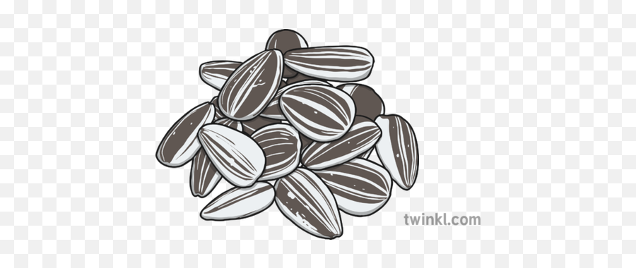 Black Natural Sunflower Seeds Png Pnglib U2013 Free Png Library Emoji,Seeds Clipart Black And White