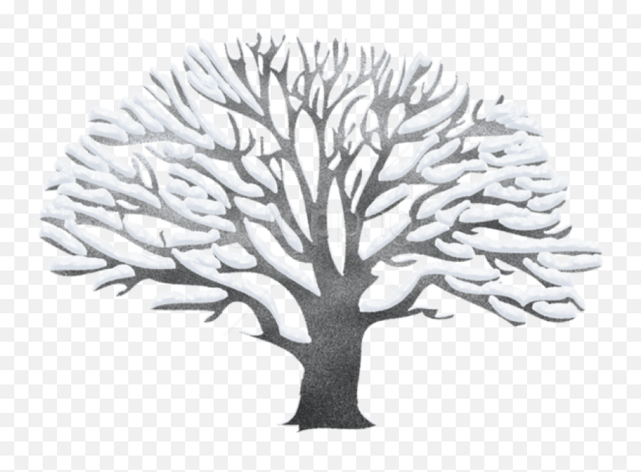 Download Free Png Download Winter Snowy - Vector Winter Tree Png Emoji,Winter Tree Clipart