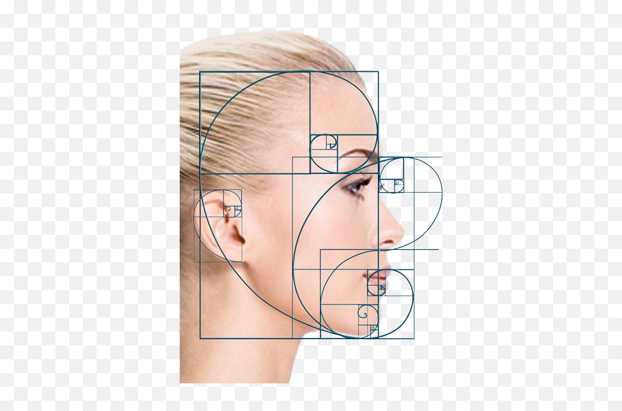 The Golden Ratio And Facial Beauty - Dr Eddie Siman Golden Ratio Human Face Emoji,Golden Ratio Transparent