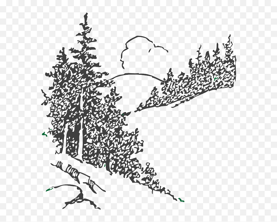 White Pine Trees Clipart Png Download - Pine Tree Drawing Scenery Emoji,Pine Tree Clipart Black And White