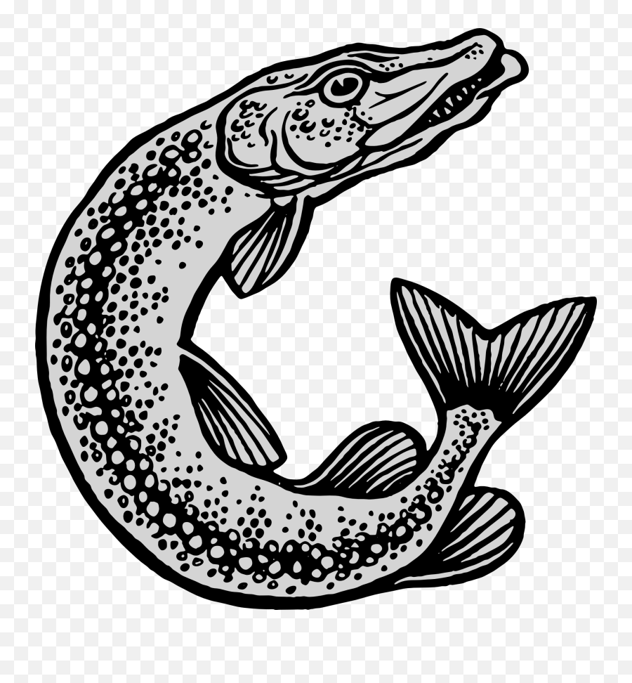 Vector Fish - Clipart Best Pike Drawing Png Emoji,Bass Fishing Clipart