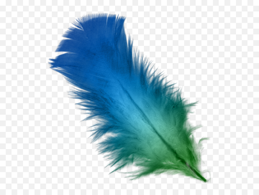 Green Feather - Transparent Background Feather Clipart Emoji,Feather Png