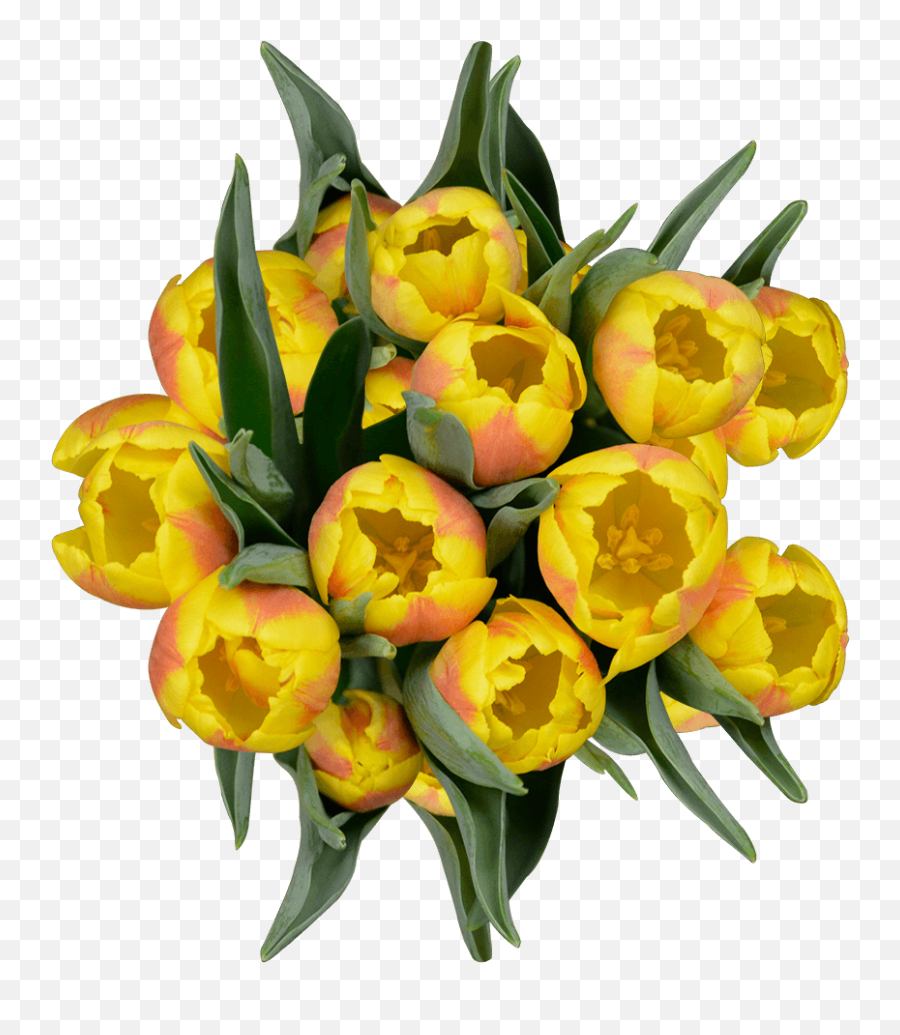 Best Yellow Tulip Flowers Emoji,Have A Great Weekend Clipart