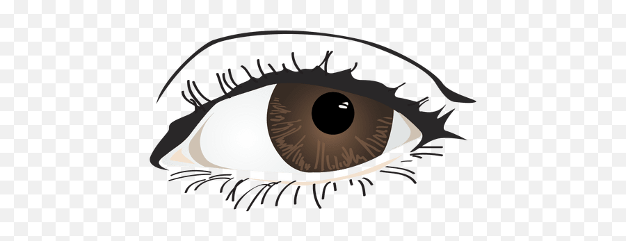 Brown Woman Eye - Olhos Castanhos Png Feminino Emoji,Eye Transparent