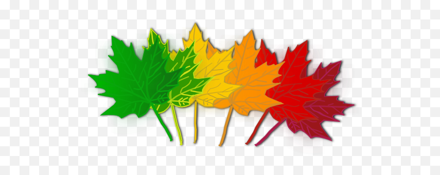 Maple Leaves Clipart - Color Fall Leaves Clipart Emoji,Maple Leaf Clipart