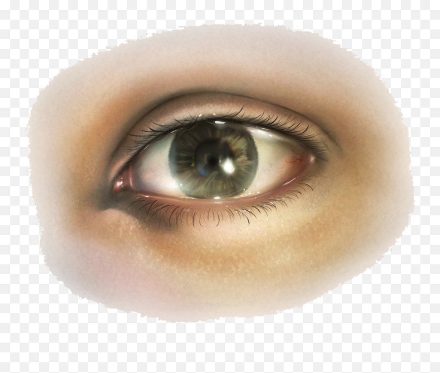 Eye Png Image - Purepng Free Transparent Cc0 Png Image Library Transparent Real Eyes Png Emoji,Eye Png