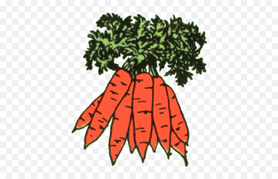 Carrots Clipart Carrots Clip Art - Lot Of Carrots Clipart Emoji,Carrots Clipart