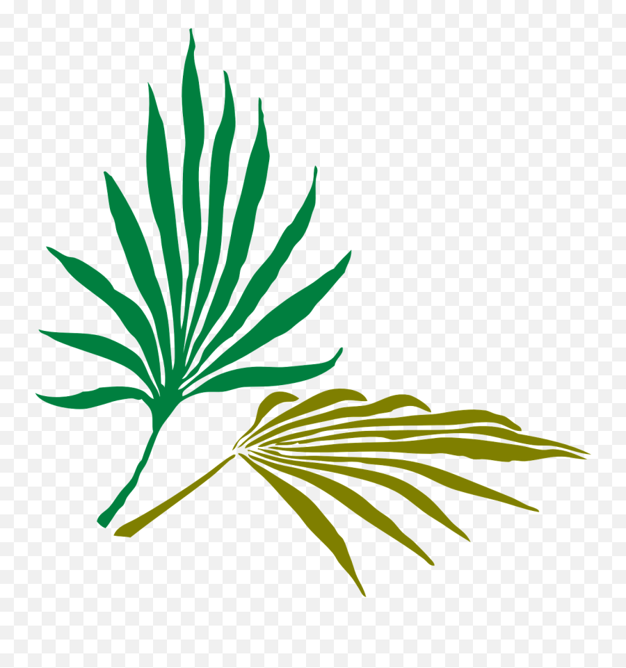 Palm Leaves Palm Tropical Nature Png - Silhouette Tropical Plants Vector Emoji,Palm Leaves Png