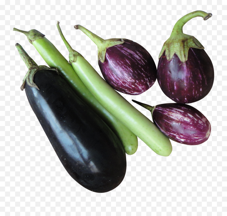 Brinjal Eggplant Png Clipart - Brinjal Png Emoji,Eggplant Clipart