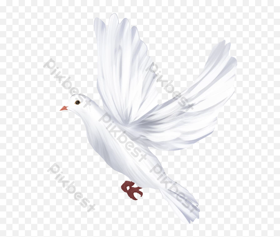 Flying White Dove Free Png Transparent - Columbidae Emoji,White Dove Png