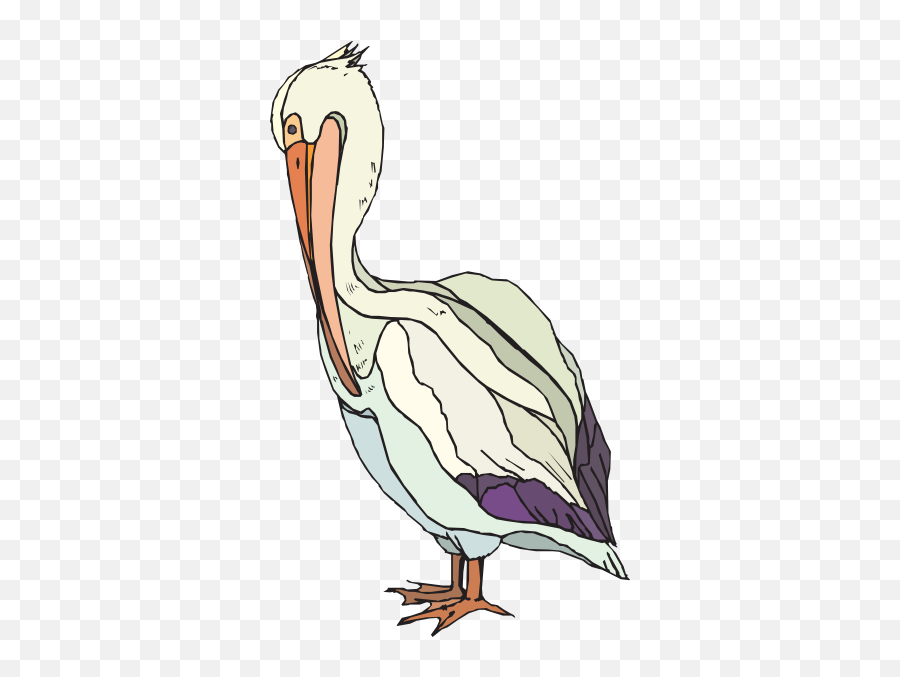 Free Pelican Cliparts Png Images - Clip Art Emoji,Pelican Clipart