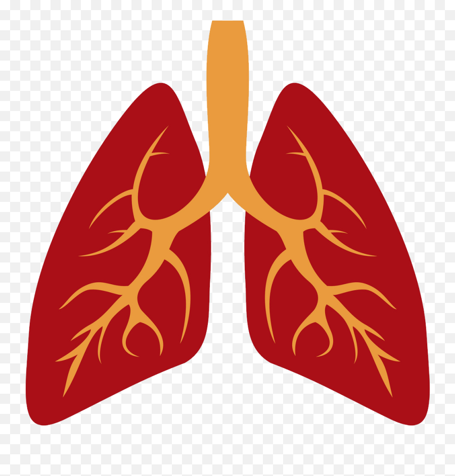 Lungs Png - Lungs Clipart Png Emoji,Lungs Clipart