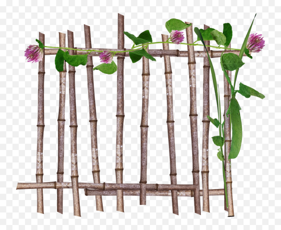 Library Of Bamboo Clipart Free Library Money Png Files Emoji,Bamboo Clipart