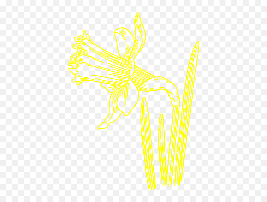Yellow Daffodil Clip Art At Clkercom - Vector Clip Art Sketch Emoji,Daffodil Clipart