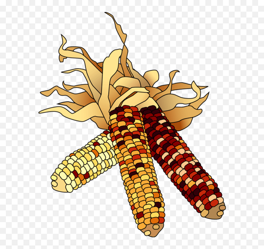 Clipart Indian Corn - Clip Art Thanksgiving Corn Emoji,November Clipart