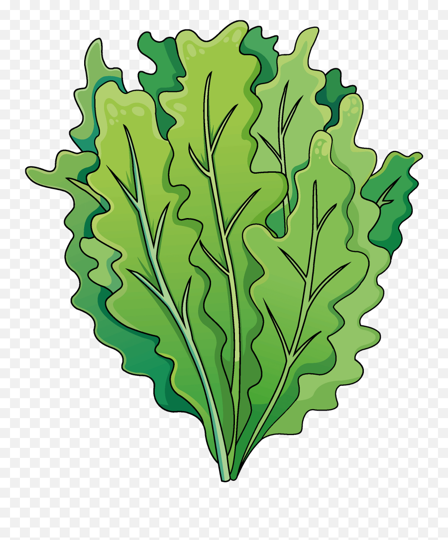 Salad Clipart - Wild Cabbage Emoji,Salad Clipart