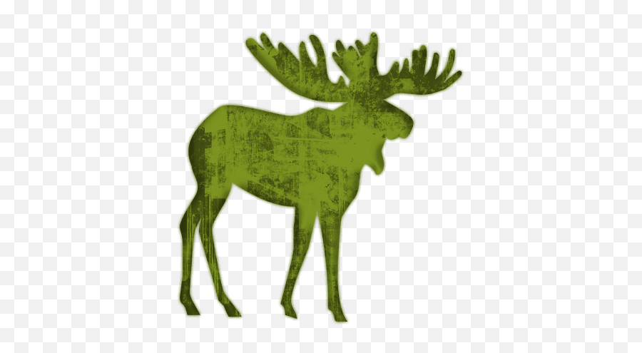 Best Moose Clipart - Moose Emoji,Moose Clipart