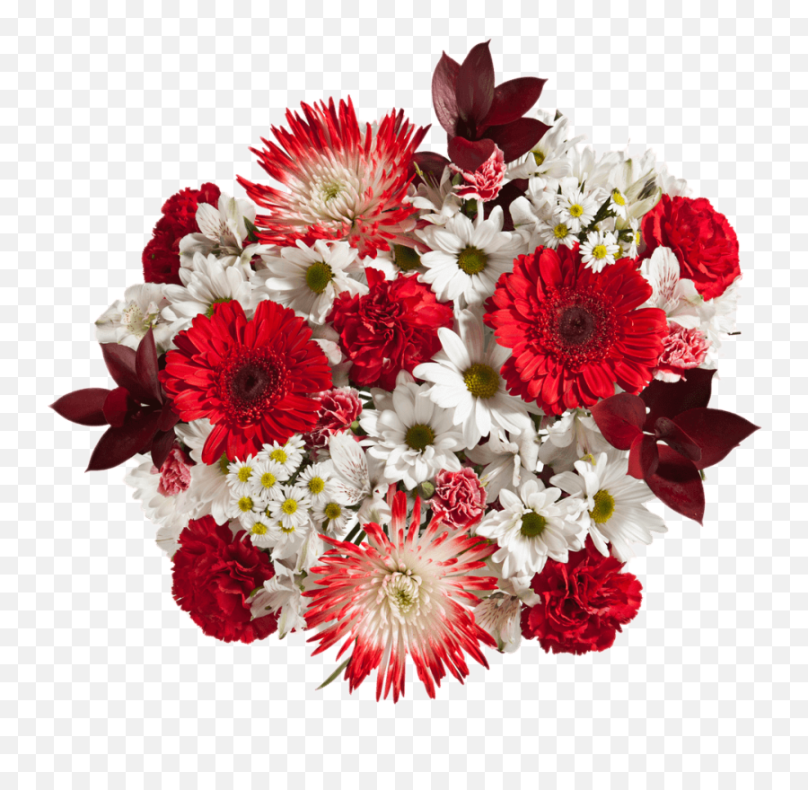 Valentines Flowers Red Carnations Spider Poms White Daisies Emoji,White Daisy Png