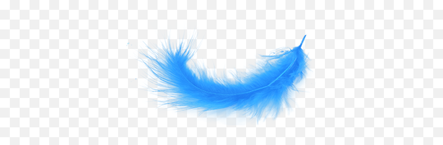 Blue Feather Transparent Png - Falling Blue Feathers Png Emoji,Feather Png