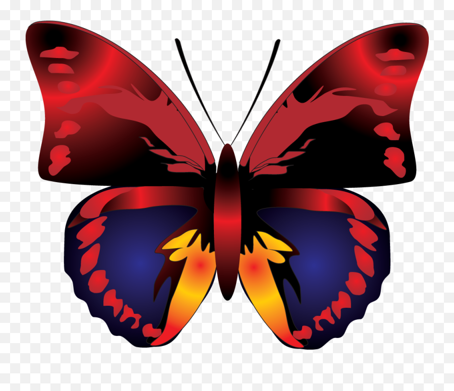 Butterfly Png Image Cartoon Butterfly Butterfly Clip Art Emoji,Butterfly Clipart Transparent Background