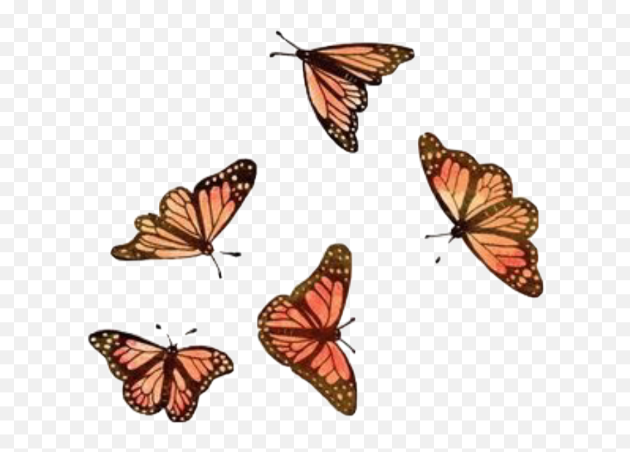 Aesthetic Tumblr Butterfly Backgrounds Vsco - Largest Emoji,Monarch Butterfly Transparent Background