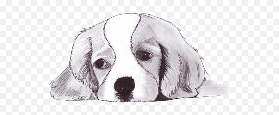 Sad Dog Puzzle Emoji,Sad Dog Png