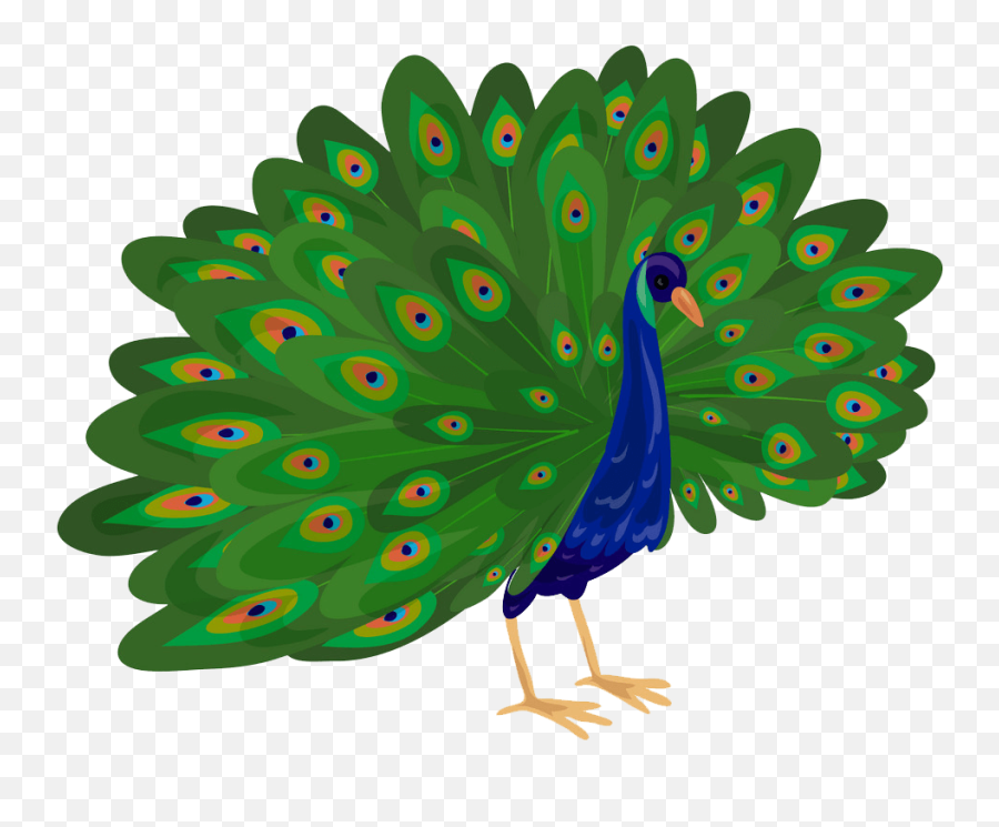Peacock Clipart Transparent 1 Emoji,Peacock Clipart