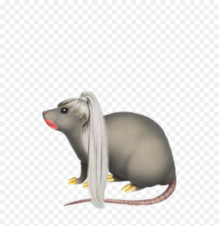Rat Emoji Uglyedit Ugly Sticker By - Transparent Background Ugly Rat,Rat Transparent Background
