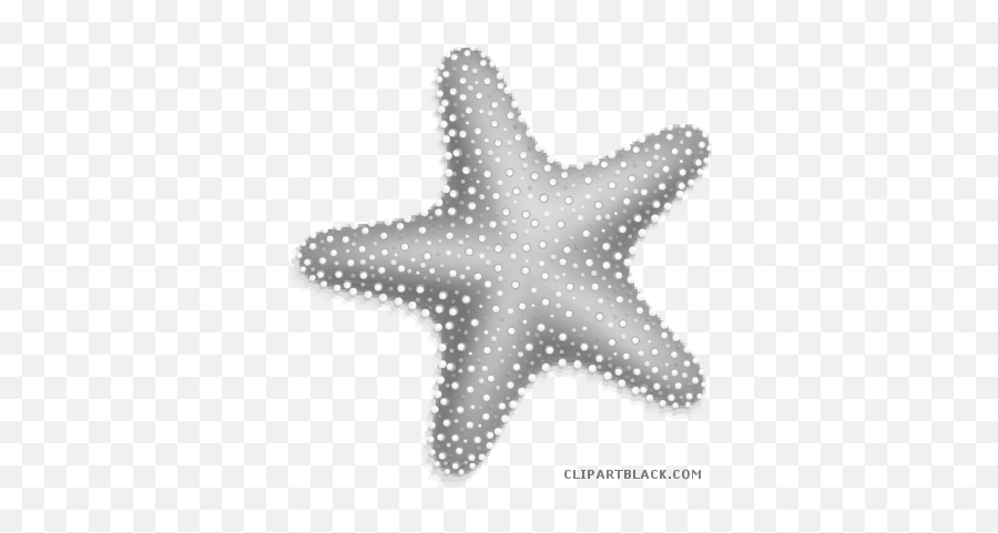 Download Hd Svg Royalty Free Stock Page - Starfish Clipart Png Emoji,Starfish Clipart Black And White