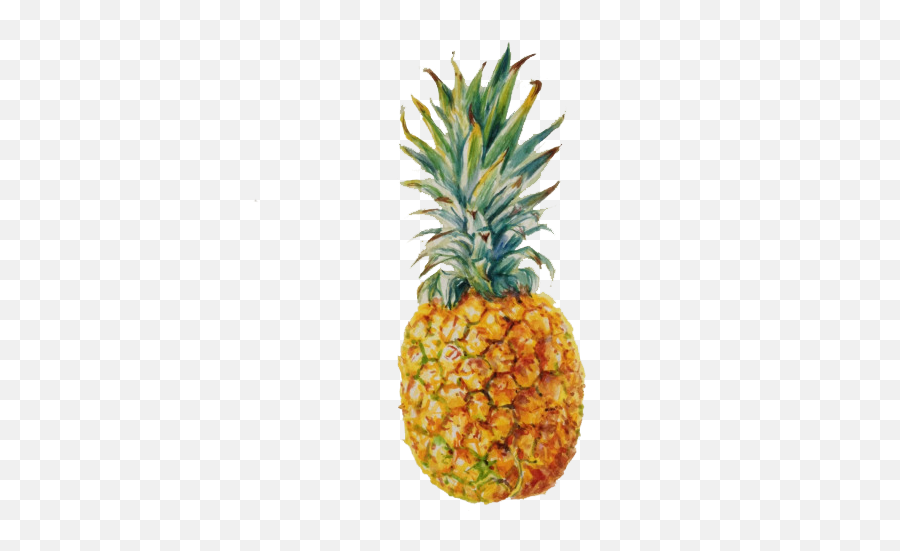 Pineapple Fruit Transparent Png Images Free Download - Free Noel Badges Pugh Food Emoji,Tumblr Png