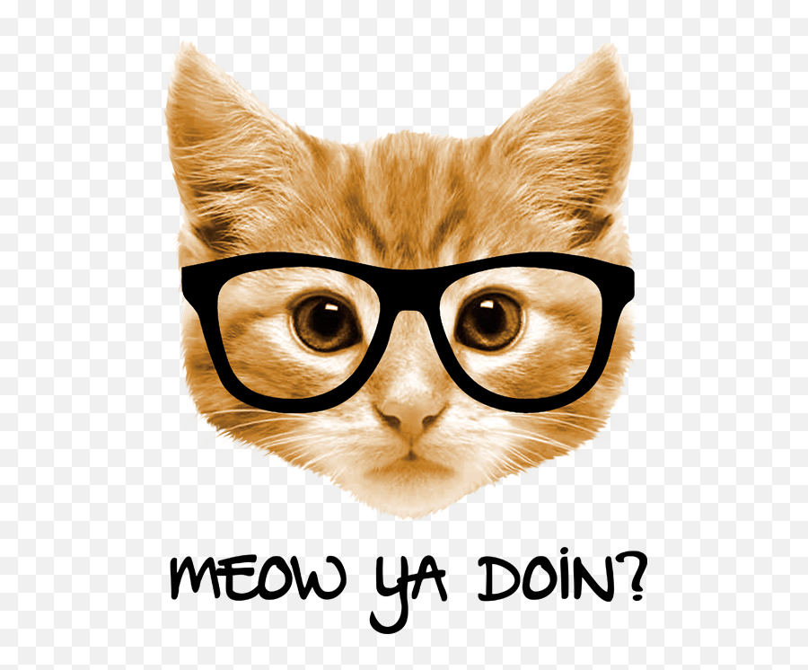 Meow Png - Cat With Glasses Clipart Please Help The Cats Cat With Glasses Clipart Emoji,Pete The Cat Clipart
