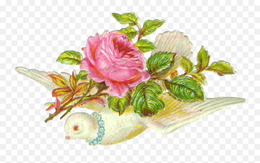 Vintage Victorian Die Cut Clip Art Of Bird Dove Carrying A Emoji,Vintage Rose Clipart