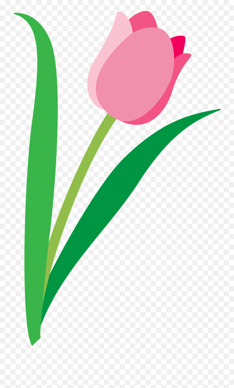 Tulip Clipart Free Download Transparent Png Creazilla Emoji,Tulips Clipart Black And White