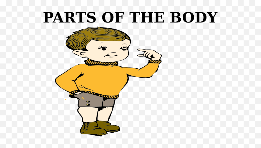 At Clker Body Clipart Png - Outline Parts Of The Body Clipart Png Emoji,Body Clipart