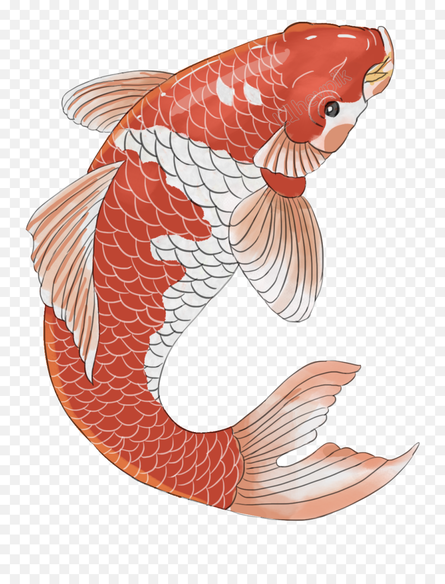 Chinese Style Hand Painted Festive Koi Png And Psd - Vector Koi Png Emoji,Catfish Clipart