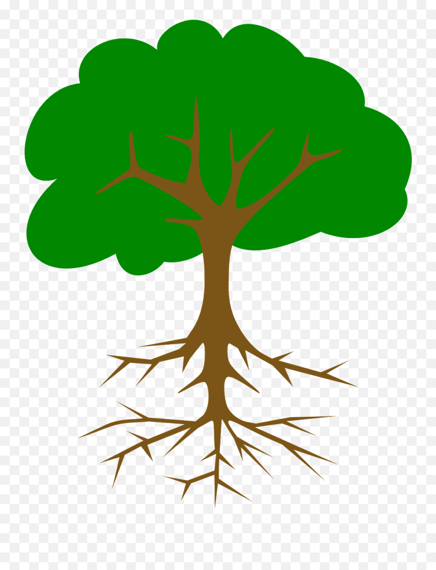 Green Tree Roots Leaves Root Png - Fruit Tree With Roots Clipart Emoji,Roots Png