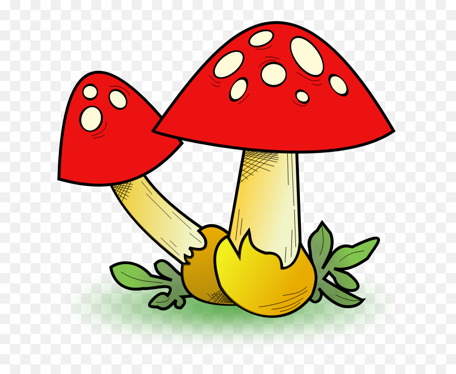 Clipart - Fungal Forest Clipartsco Mushroom Clip Art Emoji,Forest Clipart