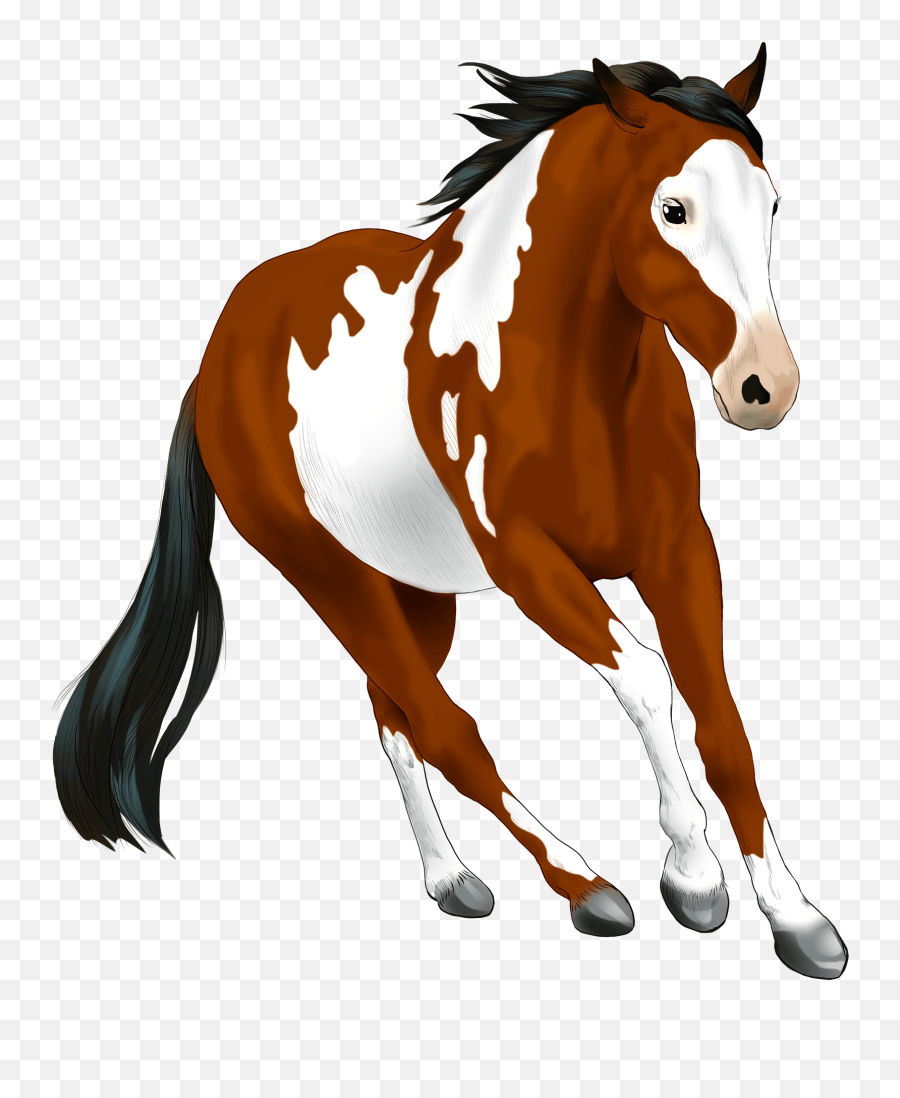 American Paint Horse Clipart Free Download Transparent Png - Paint Horse Clipart Brown Emoji,Horse Clipart