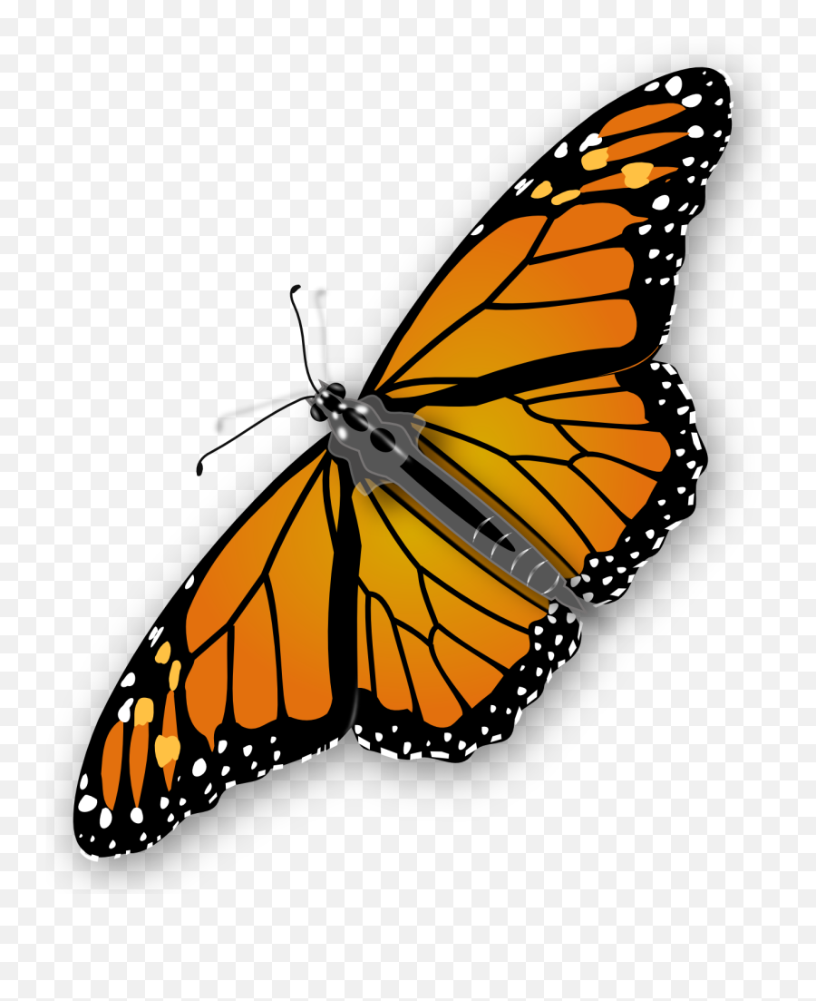 Download Butterfly Free Png Transparent Image And Clipart - Transparent Background Butterfly Gif Transparent Emoji,Butterflies Png