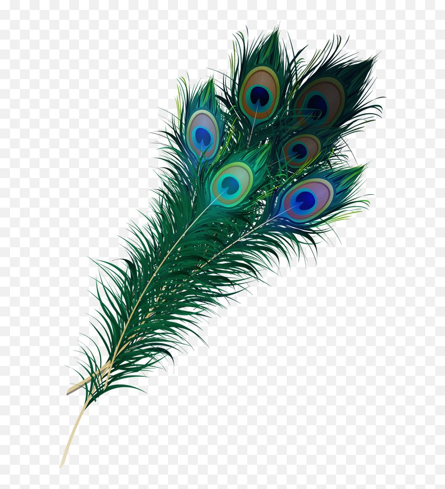 Peacock Feather Png Free Download - Krishna Transparent Peacock Feather Emoji,Feather Png