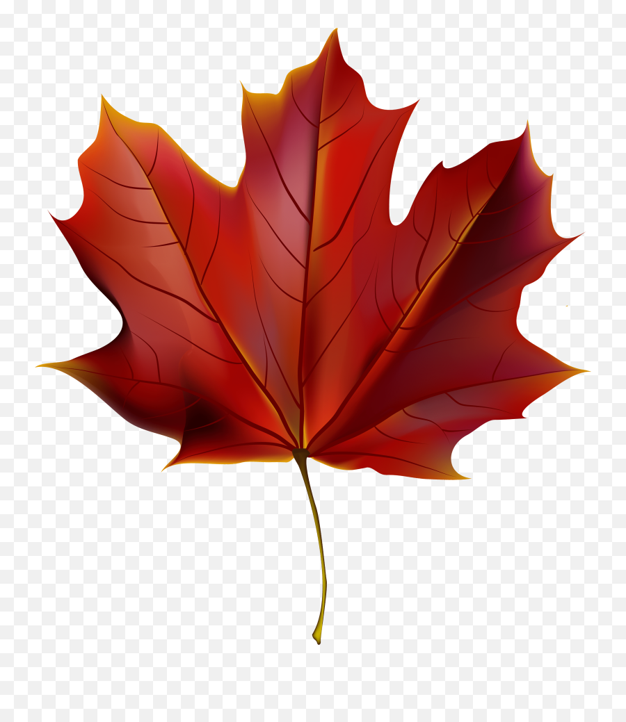 Maple Leaf High Resolution Clipart - Red Autumn Leaves Clip Art Emoji,Maple Leaf Clipart